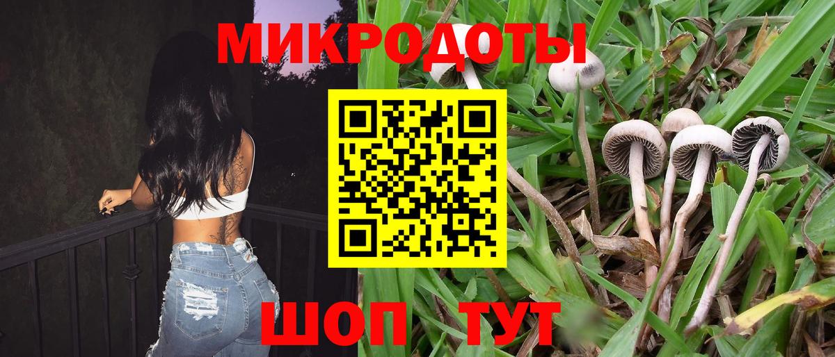 Хабаровск  Галлюциногенные грибы мицелий  Галлюциногенные грибы Psilocybine cubensis  Вход с VPN 